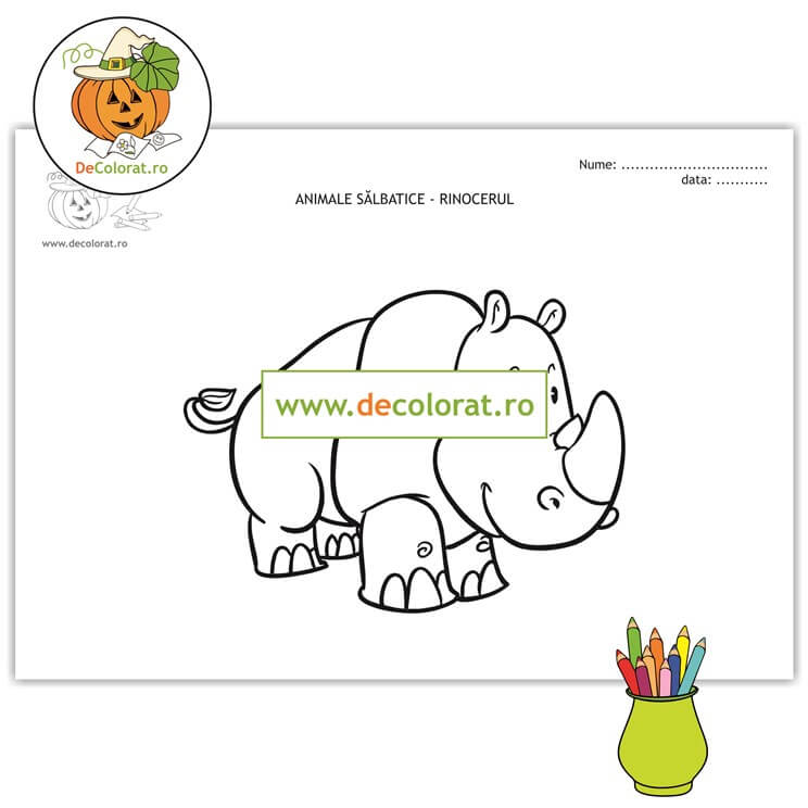Rinocerul – planșă de colorat  – animalele sălbatice