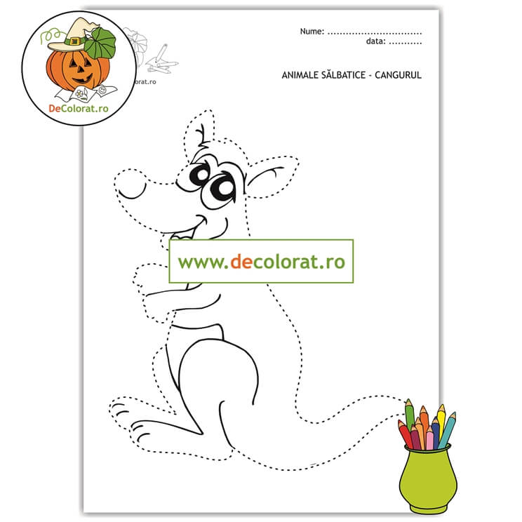 Cangurul – fișă de trasare după contur – animalele sălbatice
