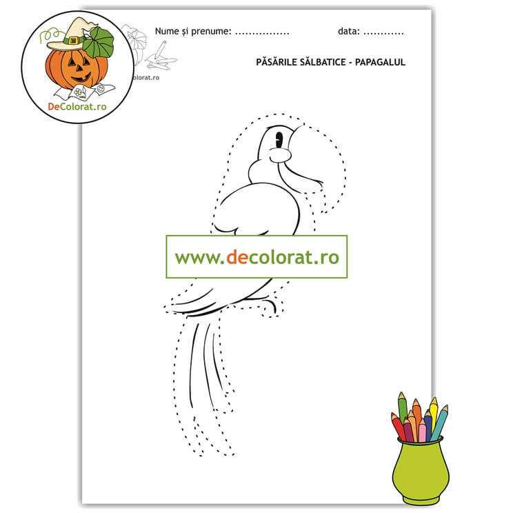 Papagalul – fișă de trasare după contur – păsarile sălbatice