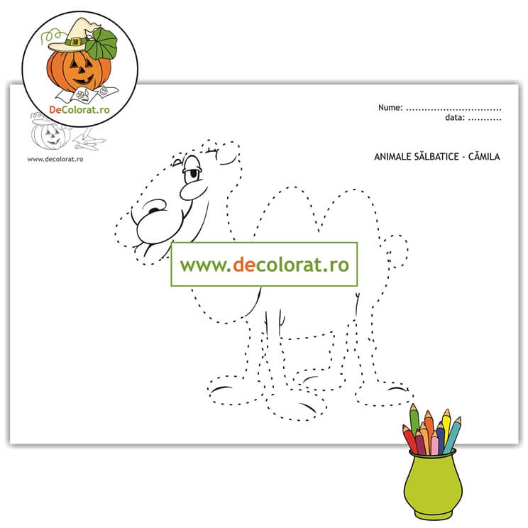 Cămila – fișă de trasare după contur – animalele sălbatice