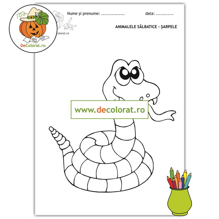 Șarpele – planșă de colorat – animalele sălbatice