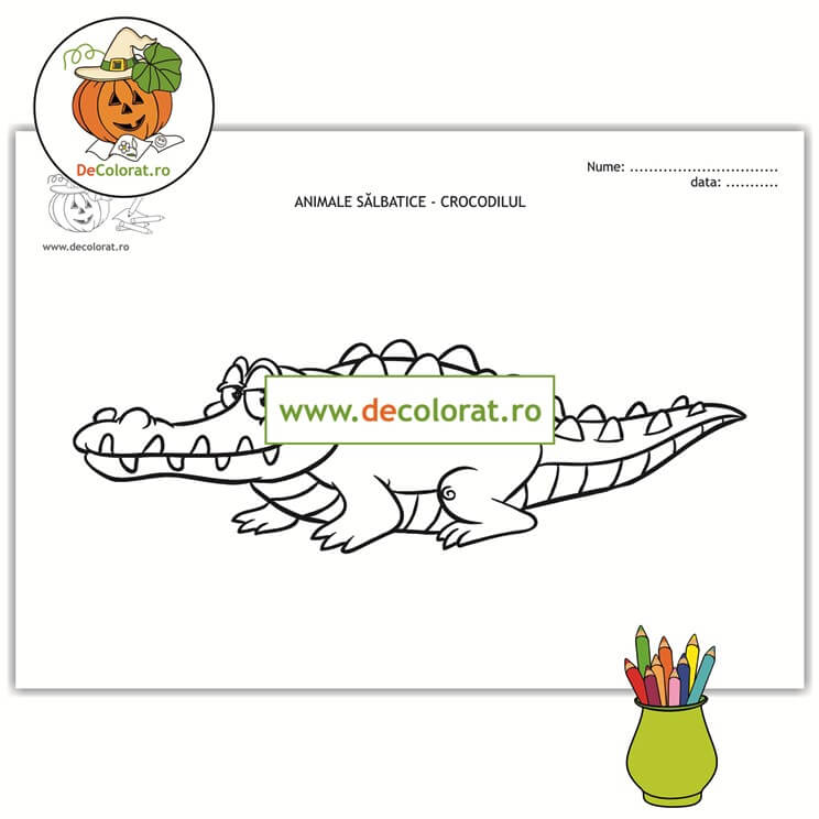 Crocodilul – planșă de colorat  – animalele sălbatice