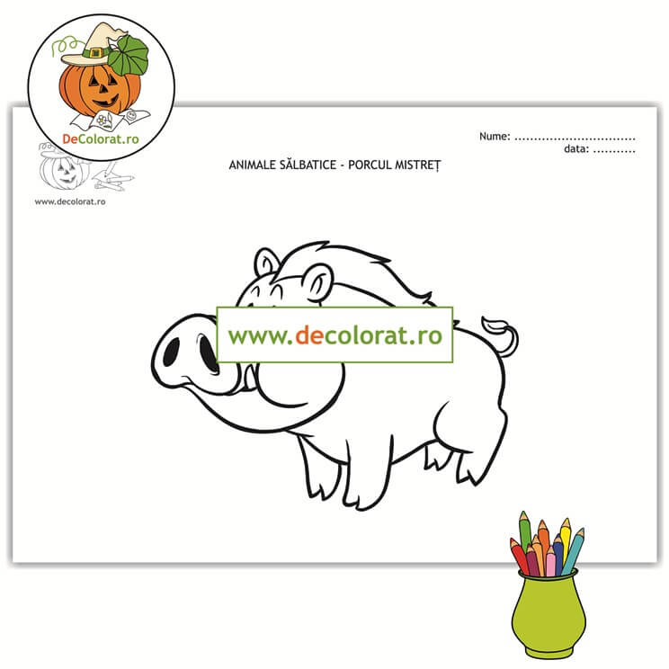 Porcul mistreț – planșă de colorat  – animalele sălbatice