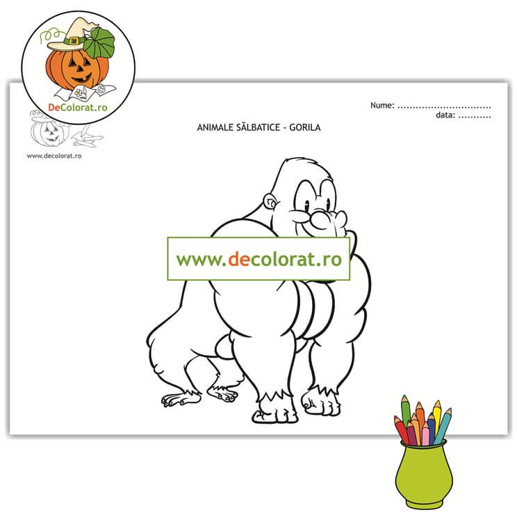Gorila – planșă de colorat  – animalele sălbatice