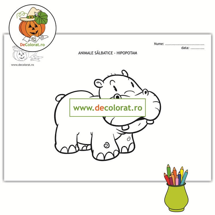 Hipopotamul – planșă de colorat  – animalele sălbatice