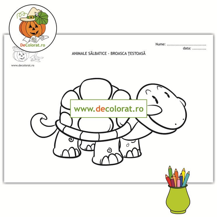 Broasca țestoasă – planșă de colorat  – animalele sălbatice