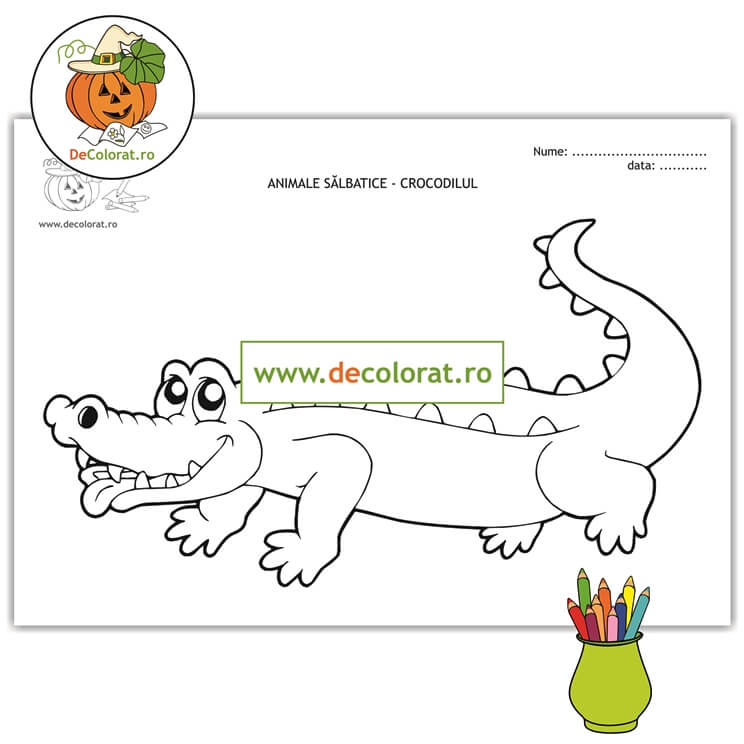 Crocodilul – planșă de colorat – animalele sălbatice