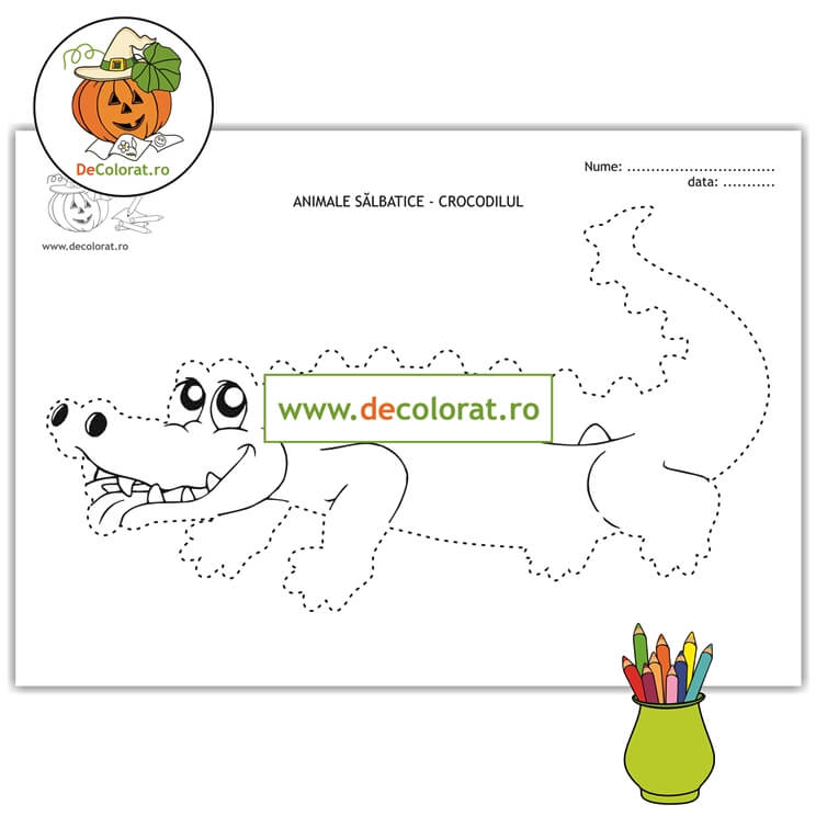 Crocodilul – fișă de lucru cu linii punctate – animalele sălbatice