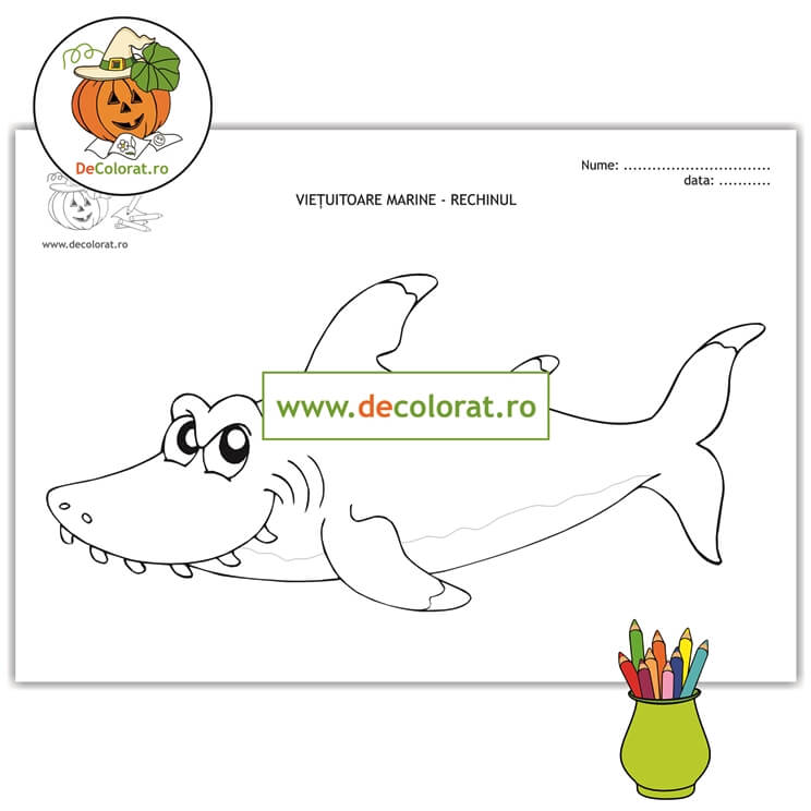 Animalele marine – rechinul – planșă de colorat – fișă de activitate