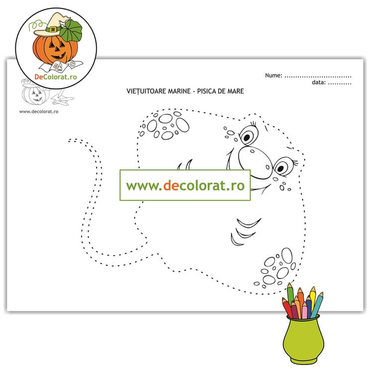 Viețuitoarele marine – pisica de mare – fișă de lucru cu linii punctate