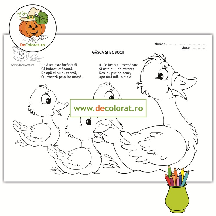 Gâsca și bobocii – planșă de colorat cu poezie