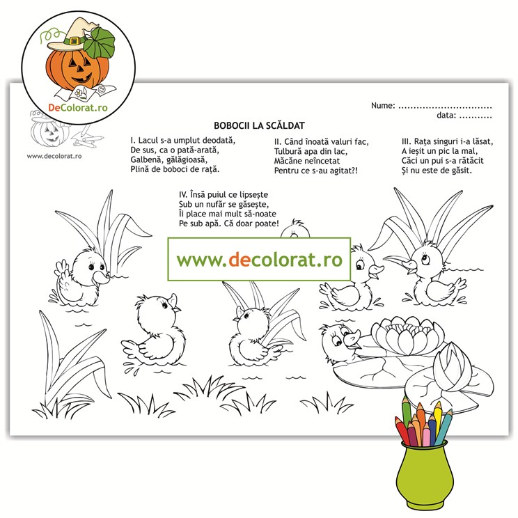Bobocii de rață la scăldat – planșă de colorat cu poezie