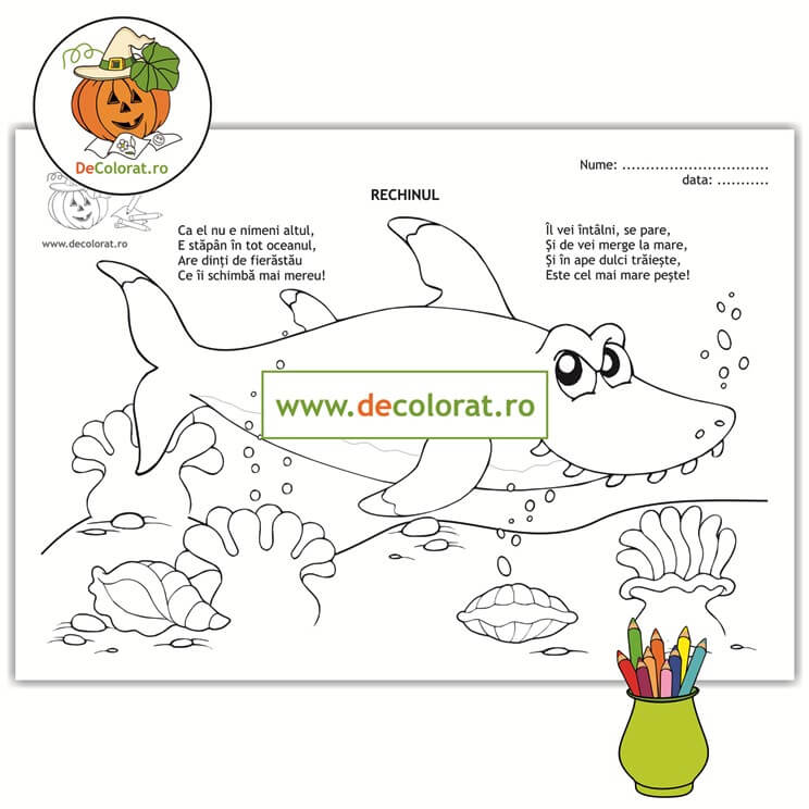 Rechinul – planșă de colorat cu poezie