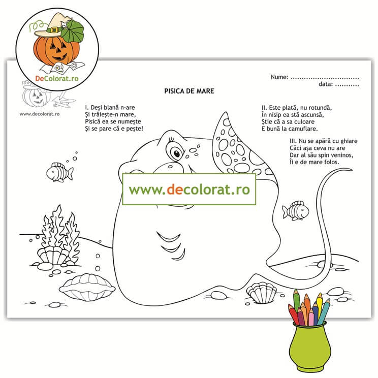 Pisica de mare – planșă de colorat cu poezie
