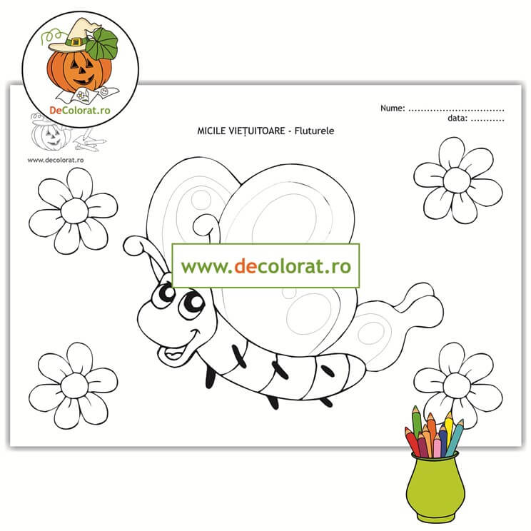 Micile viețuitoare – insectele – planșă de colorat cu fluture și flori