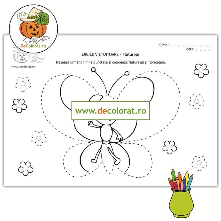 Insectele – fluturele – fișă de lucru cu linii punctate de colorat