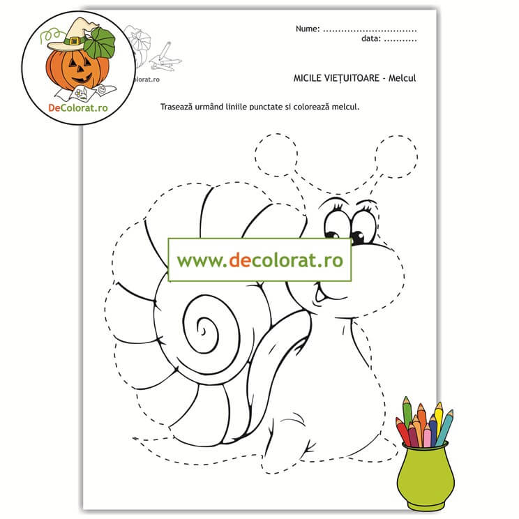 Insectele – melcul – fișă de lucru cu linii punctate de colorat