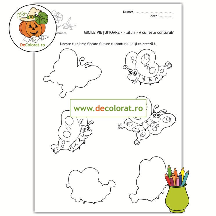 Fișă de asociere după contur și de colorat cu fluturi
