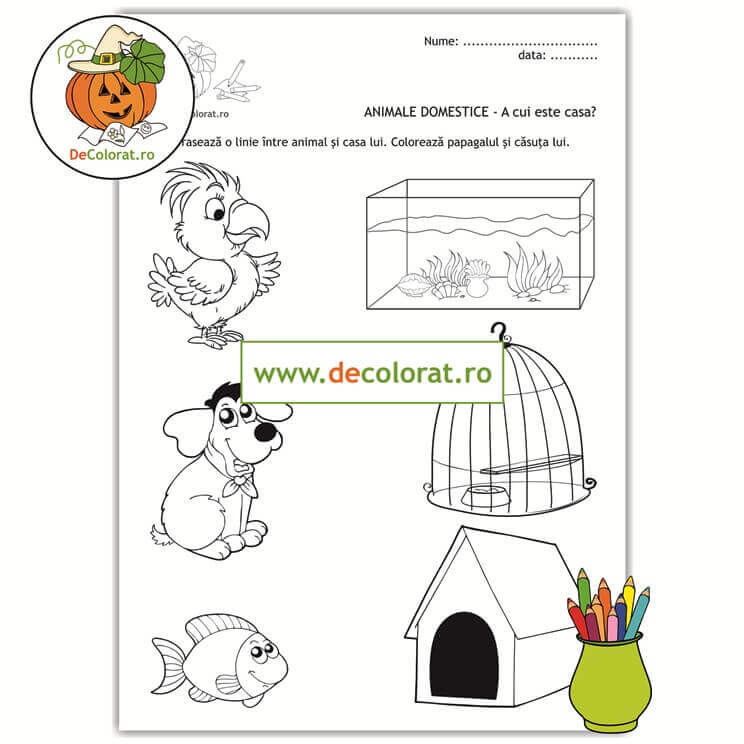 Animale și păsări domestice – A cui este casa?