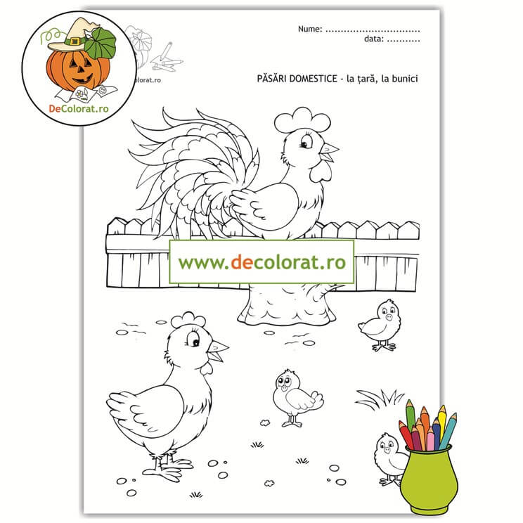 Păsări domestice – în ogradă la bunici – planșă de colorat