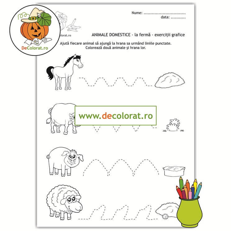 Animalele domestice și hrana lor – fișă de lucru cu exerciții grafice