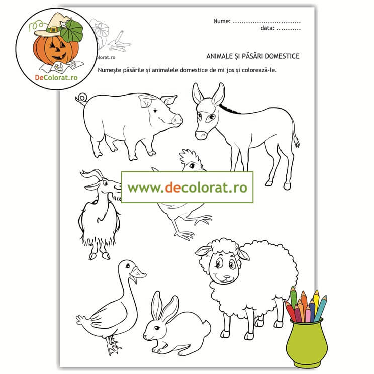 Animale și păsări domestice – planșă de colorat