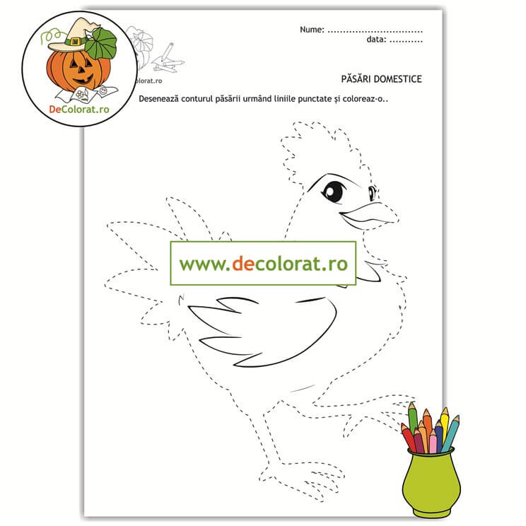 Păsările domestice – găina – fișă de trasare după contur cu linii punctate și de colorat