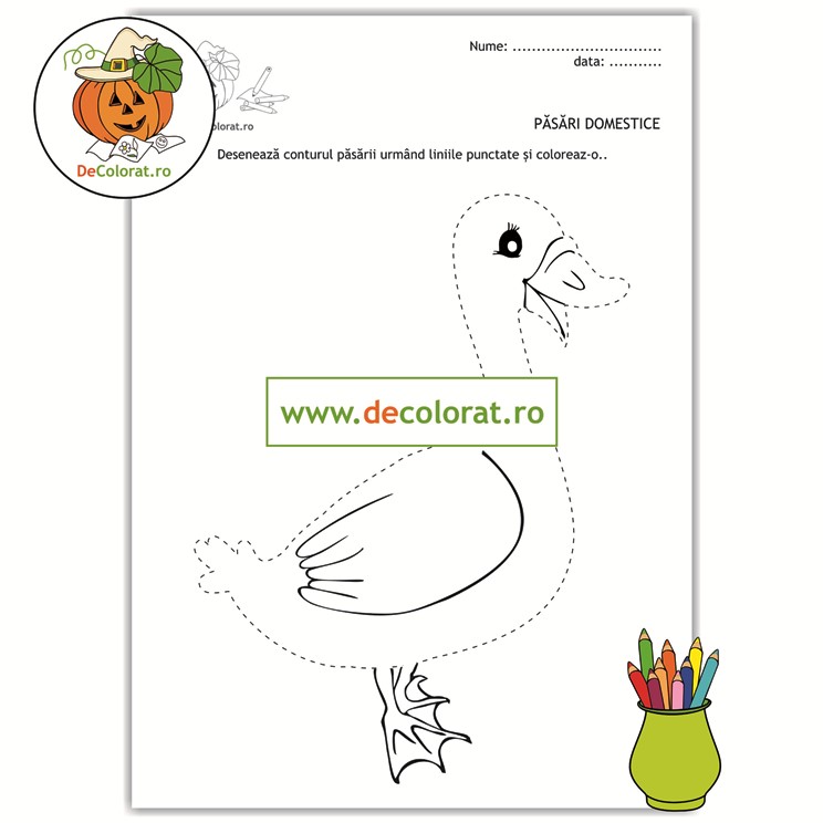 Păsările domestice – gâsca – fișă de trasare după contur cu linii punctate și de colorat