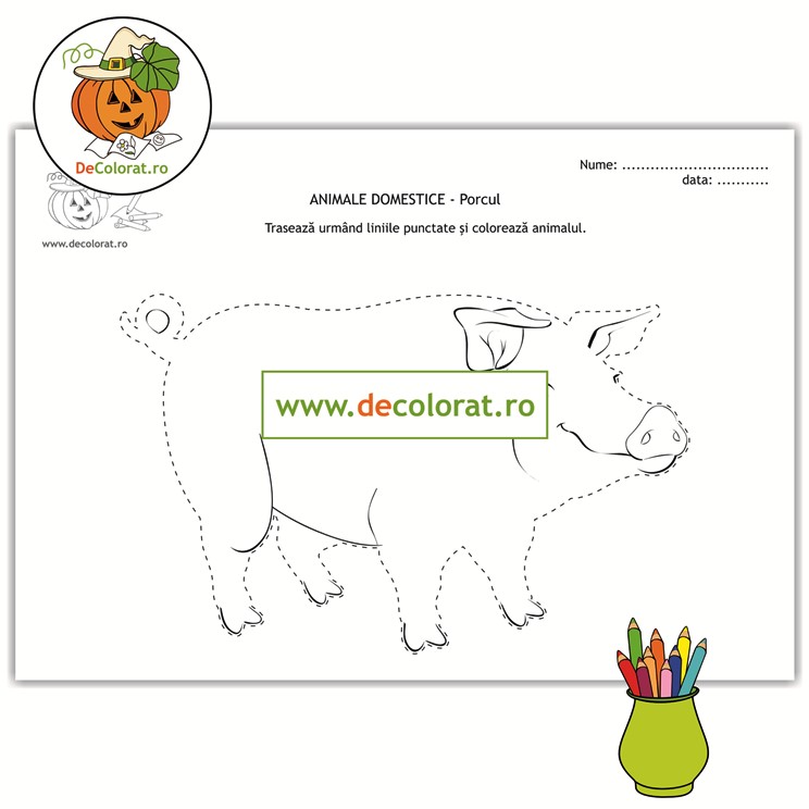 Animale domestice – porcul – fișă de trasare după contur cu linii punctate și de colorat