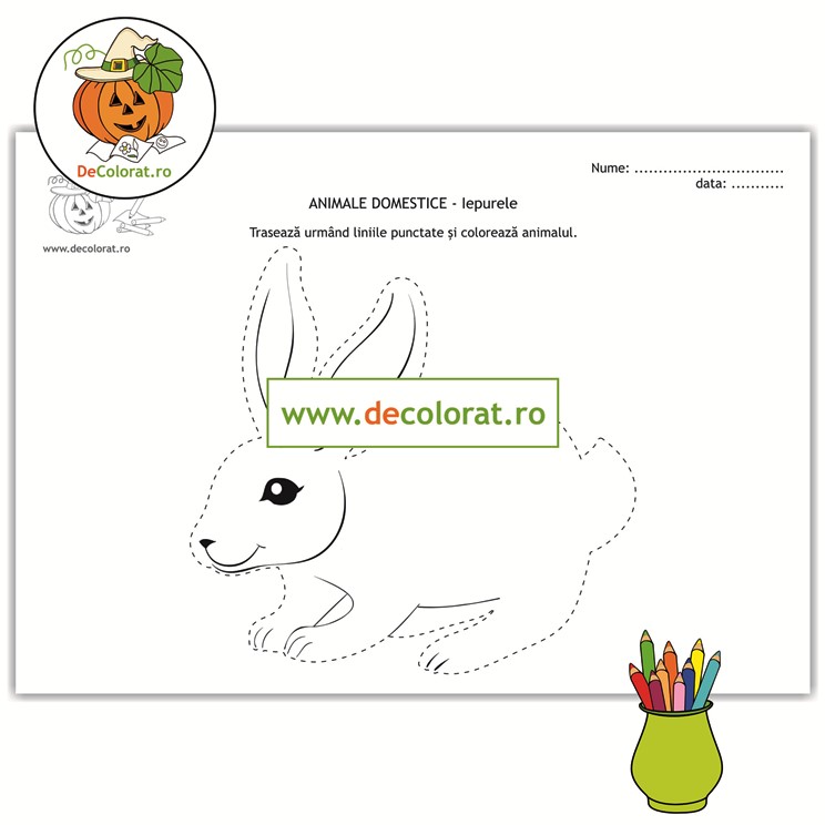 Iepurele – fișă de trasare după contur cu linii punctate și de colorat
