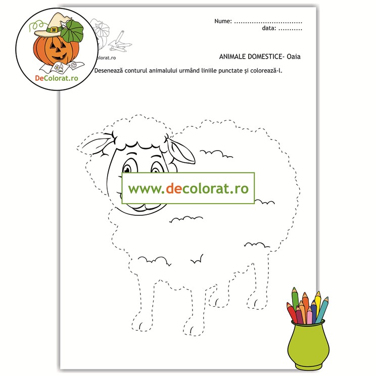 Animale domestice – oaia – fișă de trasare după contur cu linii punctate și de colorat