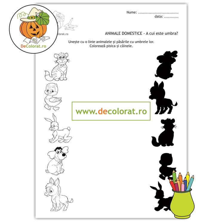 Animalele domestice – fișă de punere în corespondență- A cui este umbra?