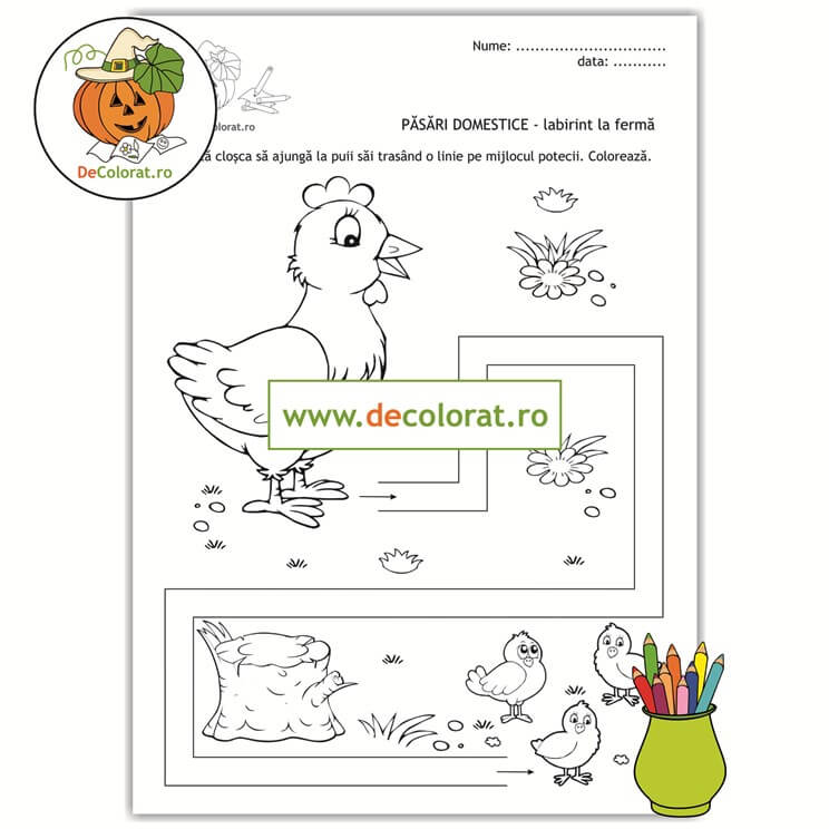 Cloșca cu puii – labirint la fermă – planșă de trasare cu păsări domestice