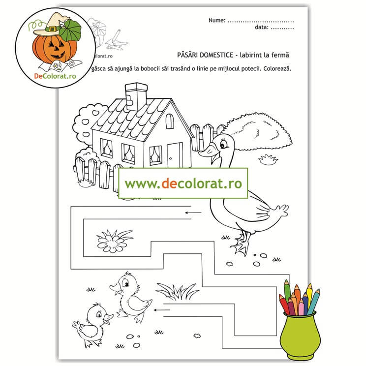 Gâsca cu bobocii – labirint la fermă – planșă de trasare cu păsări domestice