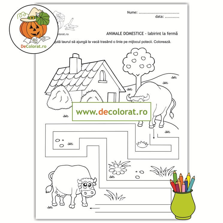 Vaca și taurul – labirint la fermă – planșă de trasare cu animale domestice