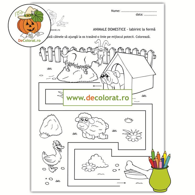 Labirint în ograda animalelor și păsărilor domestice – planșă de trasare