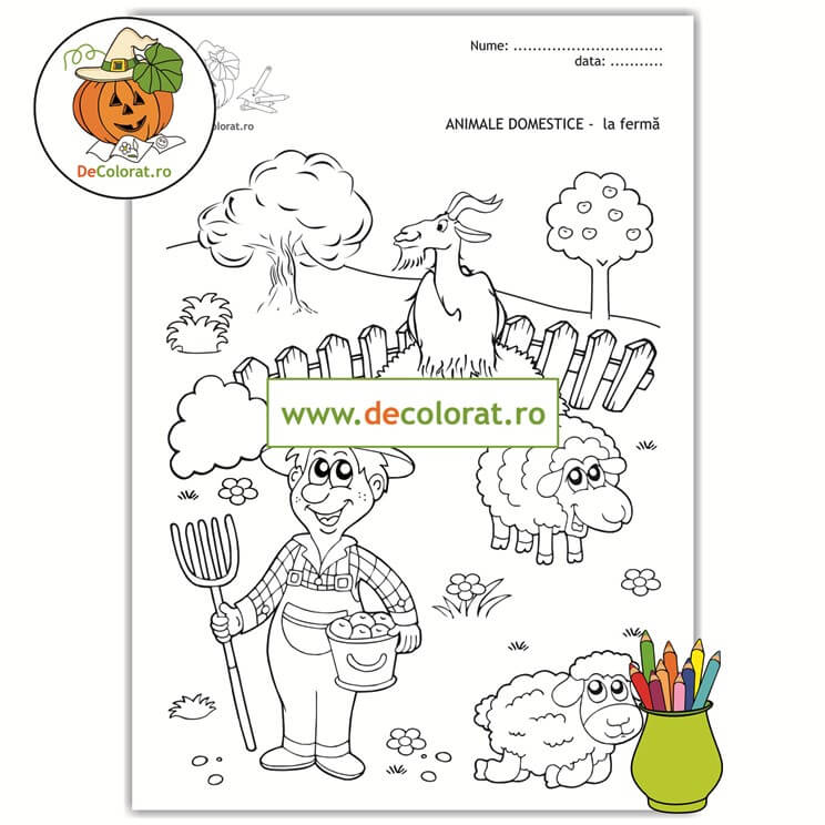 Animale domestice la fermă – planșă de colorat