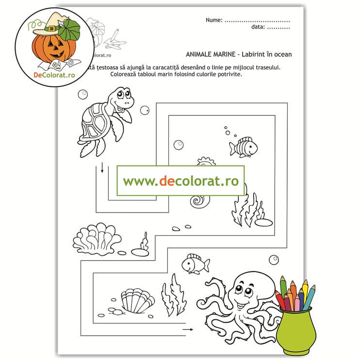 Viața marină – labirint în ocean – planșă de trasare cu țestoasă și caracatiță