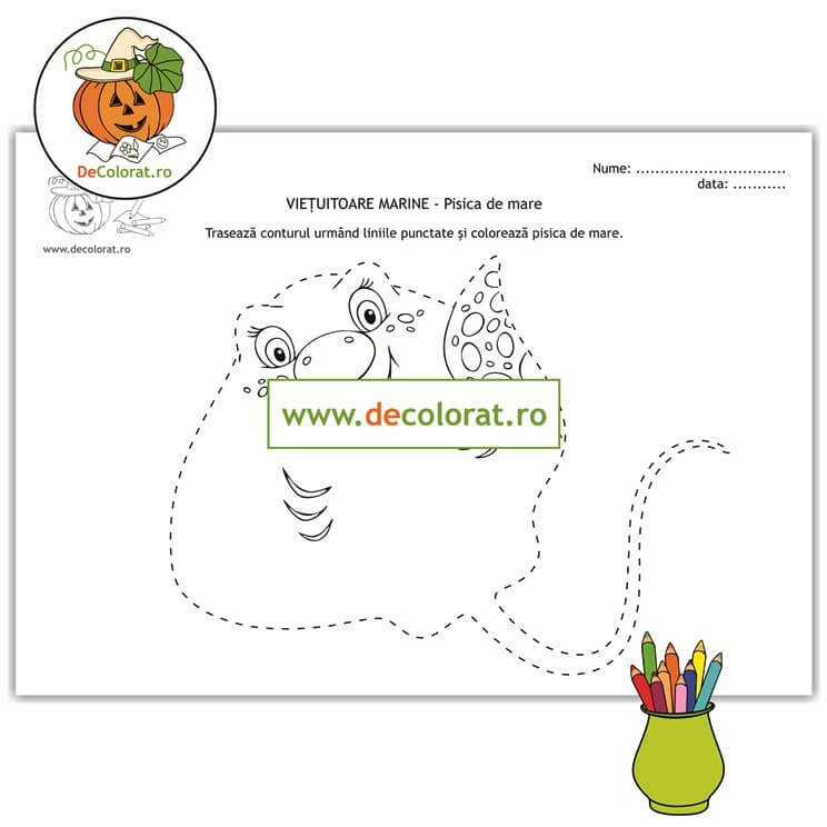 Animale marine – pisica de mare – fișă de trasare după contur și de colorat