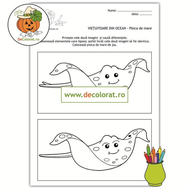 Animale marine – pisica de mare – fișă de identificare a diferențelor