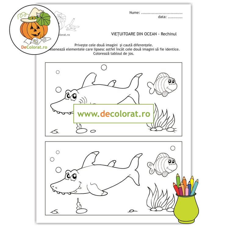 Vietuitoare marine – rechinul – fișă de identificare a diferențelor