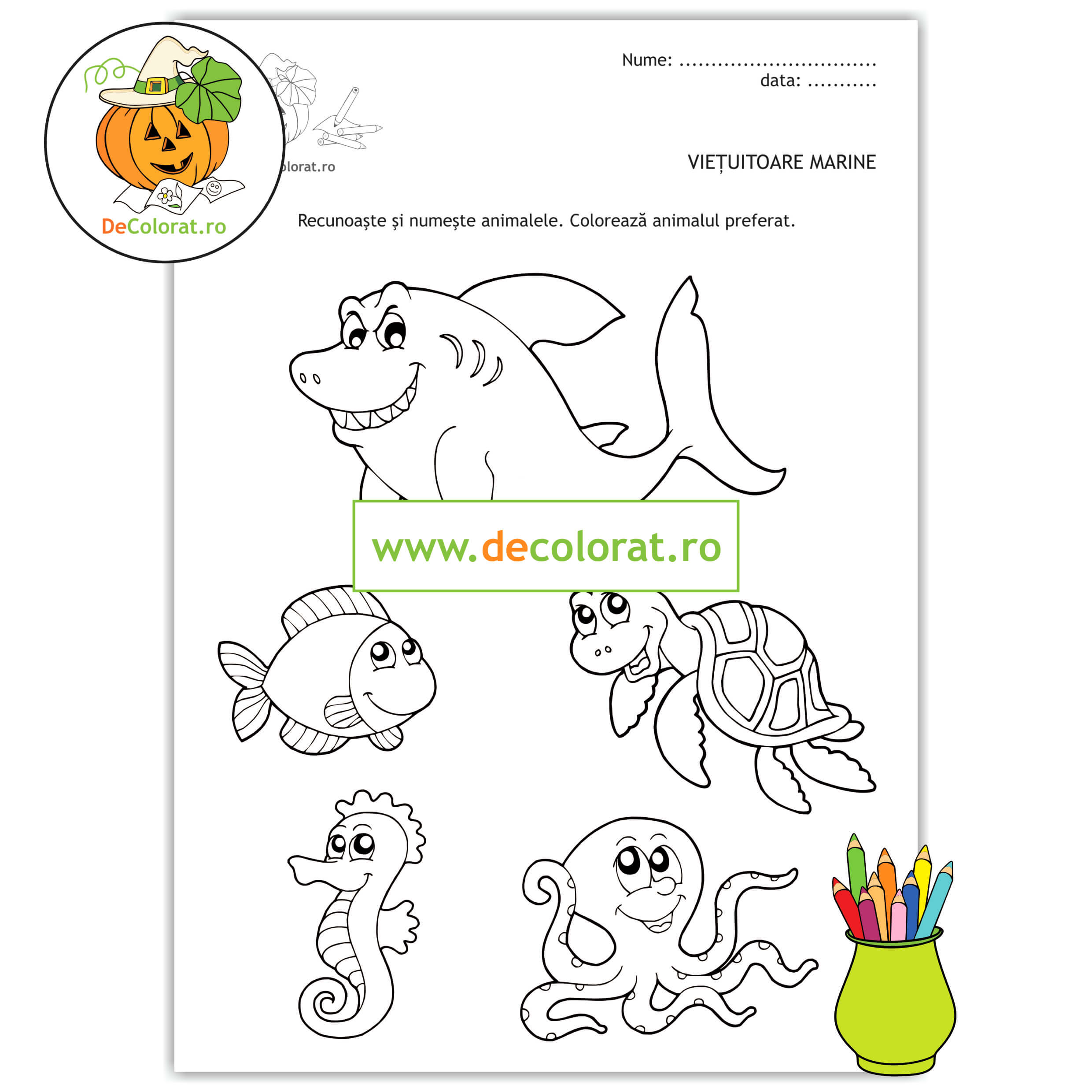 Viețuitoare marine – planșă de colorat