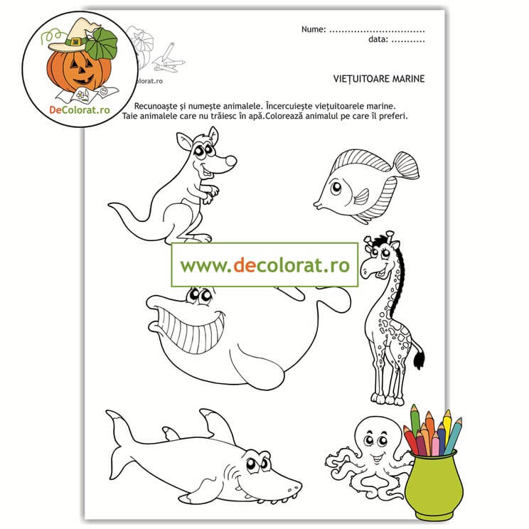 Viețuitoare marine – fișă de lucru – taie, încercuiește, colorează