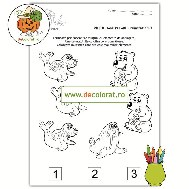 Animalele polare – fișă de lucru – numerația în limitele 1-3