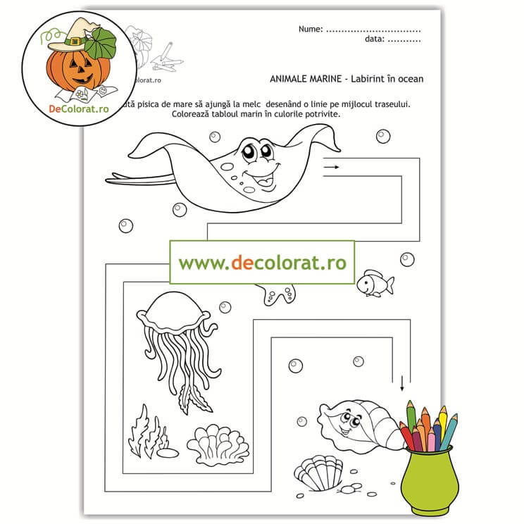 Viața marină – labirint în ocean – planșă de trasare cu pisică de mare și melc
