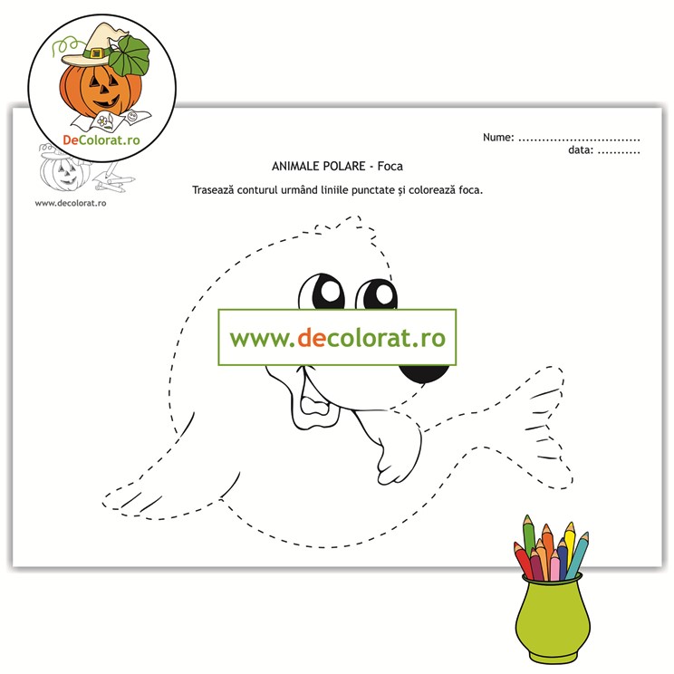 Animale polare – foca – fișă de trasare după contur și de colorat