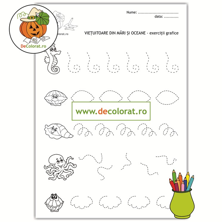 Animale marine – fișă de lucru cu exerciții grafice