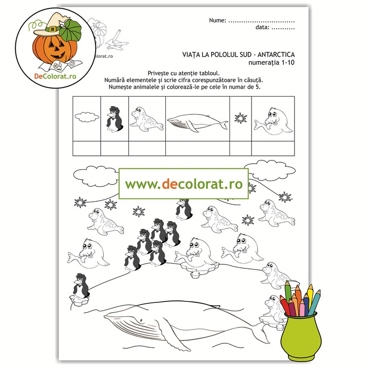 Viața la Polul Sud – fișă de lucru – numerația în limitele 1-10