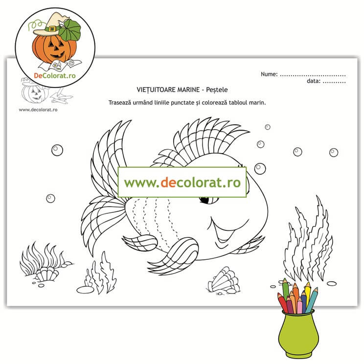 Viețuitoare marine – peștele – planșă de trasare și de colorat