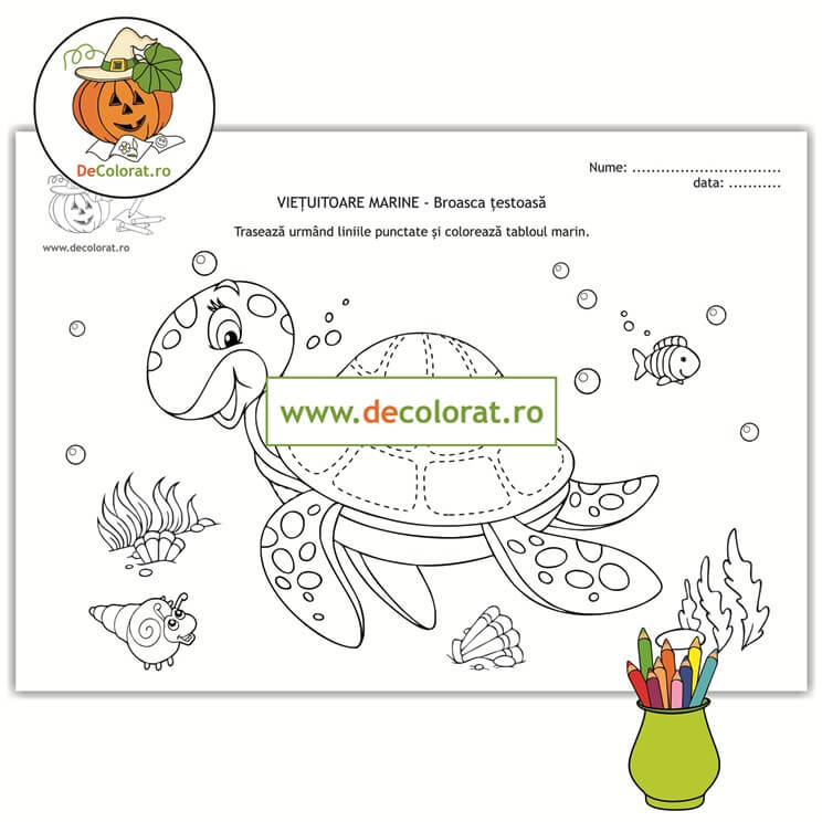 Viețuitoare marine – broasca țestoasă – planșă de trasare și de colorat